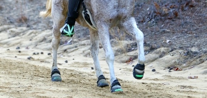 Boots och Joggingskor för hästar